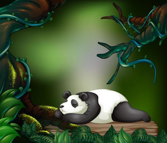 Panda durmiendo en el bosque oscuro vector