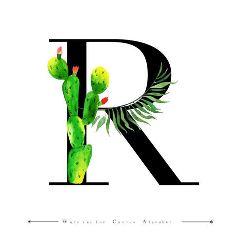 Alphabet Letter R with Watercolor cactus and Leaves vector