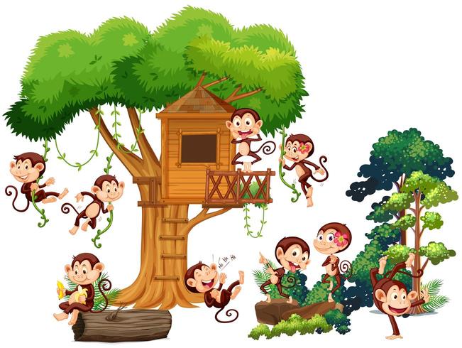 Monos jugando y trepando por la casa del árbol vector