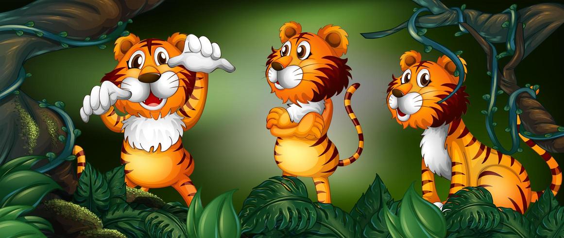 Three tigers in the rainforest vector