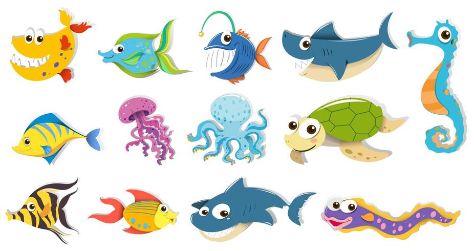 Conjunto de diferentes animales marinos vector