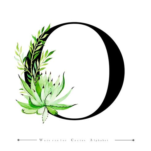 Alphabet Letter O with Watercolor cactus and Leaves  vector