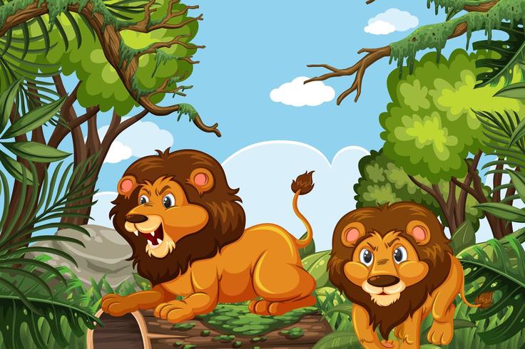 Lions in jungle scene vector