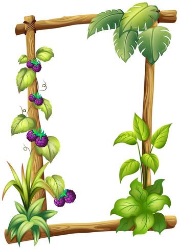 A frame made of wood with vine plants vector