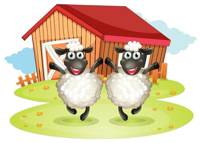 Two black sheeps with a barn at the back vector