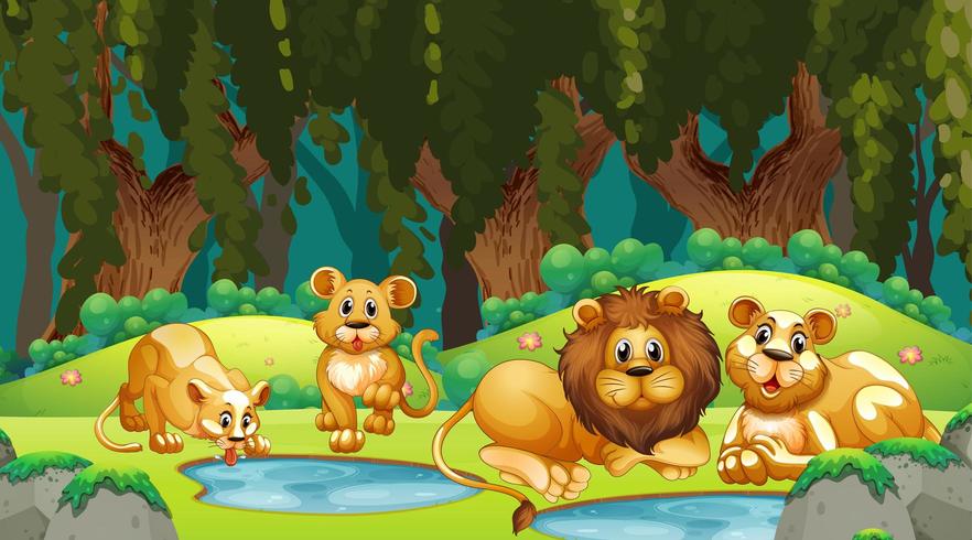 Lions in jungle scene vector