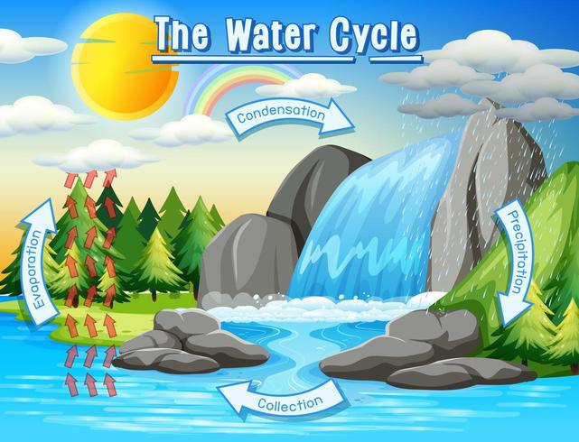 Water cycle process on Earth - Scientific vector