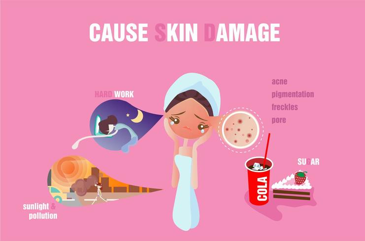 Causes of Skin Damage Infographic vector