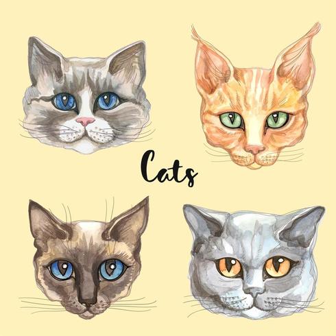 Caras de gatos de diferentes razas. Acuarela vector