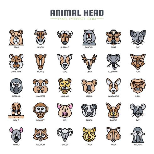 Animal Head Thin Line Color Icons vector