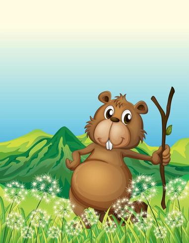 A beaver in the grass holding a stick vector