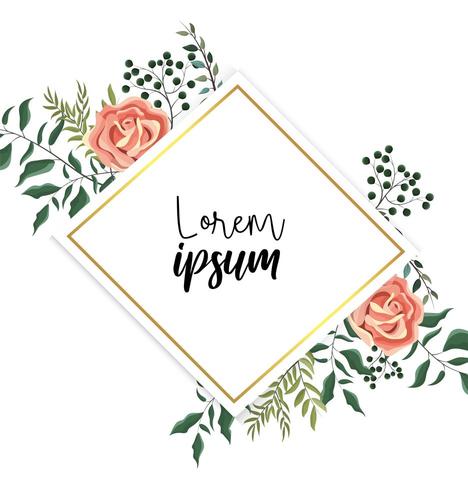 label with roses plants and exotic branches vector