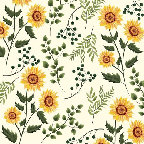 sunflowers plants with branches leaves background vector
