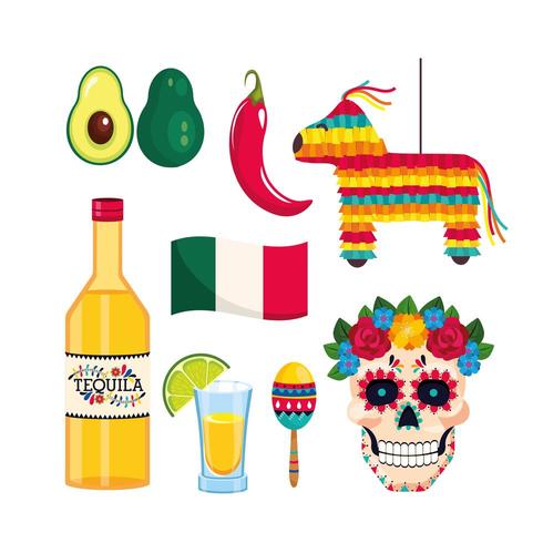 cinco de mayo event celebration vector