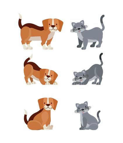 conjunto de perros y gatos vector