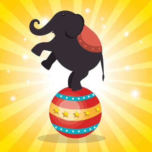 Elephant circus show icons vector