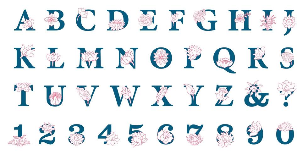 Hand drawn elegant alphabet with flowers vector