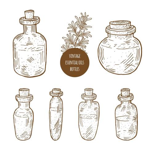 Conjunto de botellas de aceite esencial vintage dibujado a mano. vector