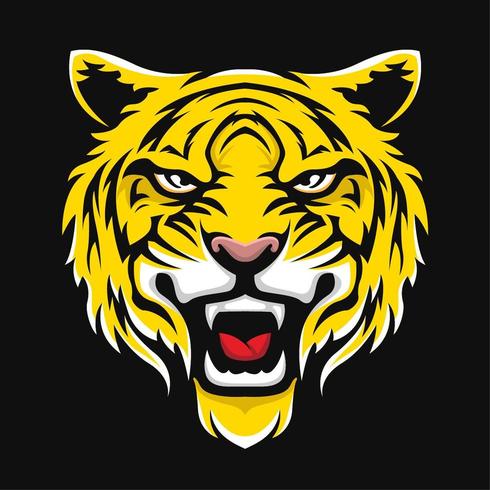 Tiger face sport drawing vector