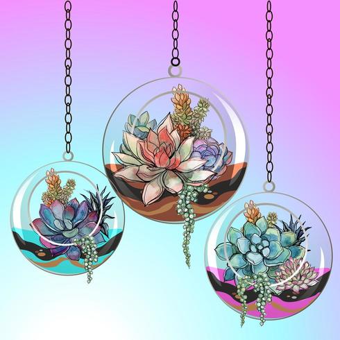 Flowers succulents in glass pots. Vector. vector