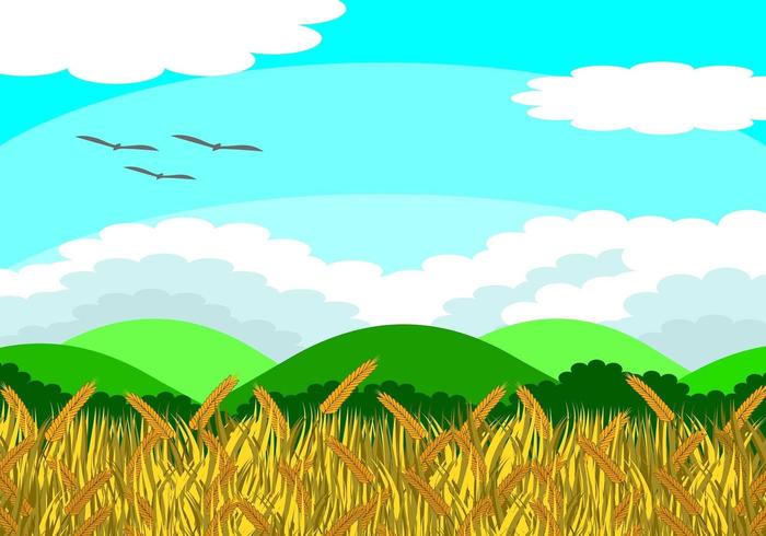 Vector illustration of a rice field with rice grains ready to accumulate. Beyond, there are trees and mountains. In the daytime the sky is bright. It is a beautiful natural picture