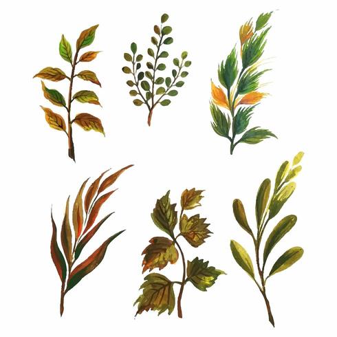 Set of various watercolor plants  vector