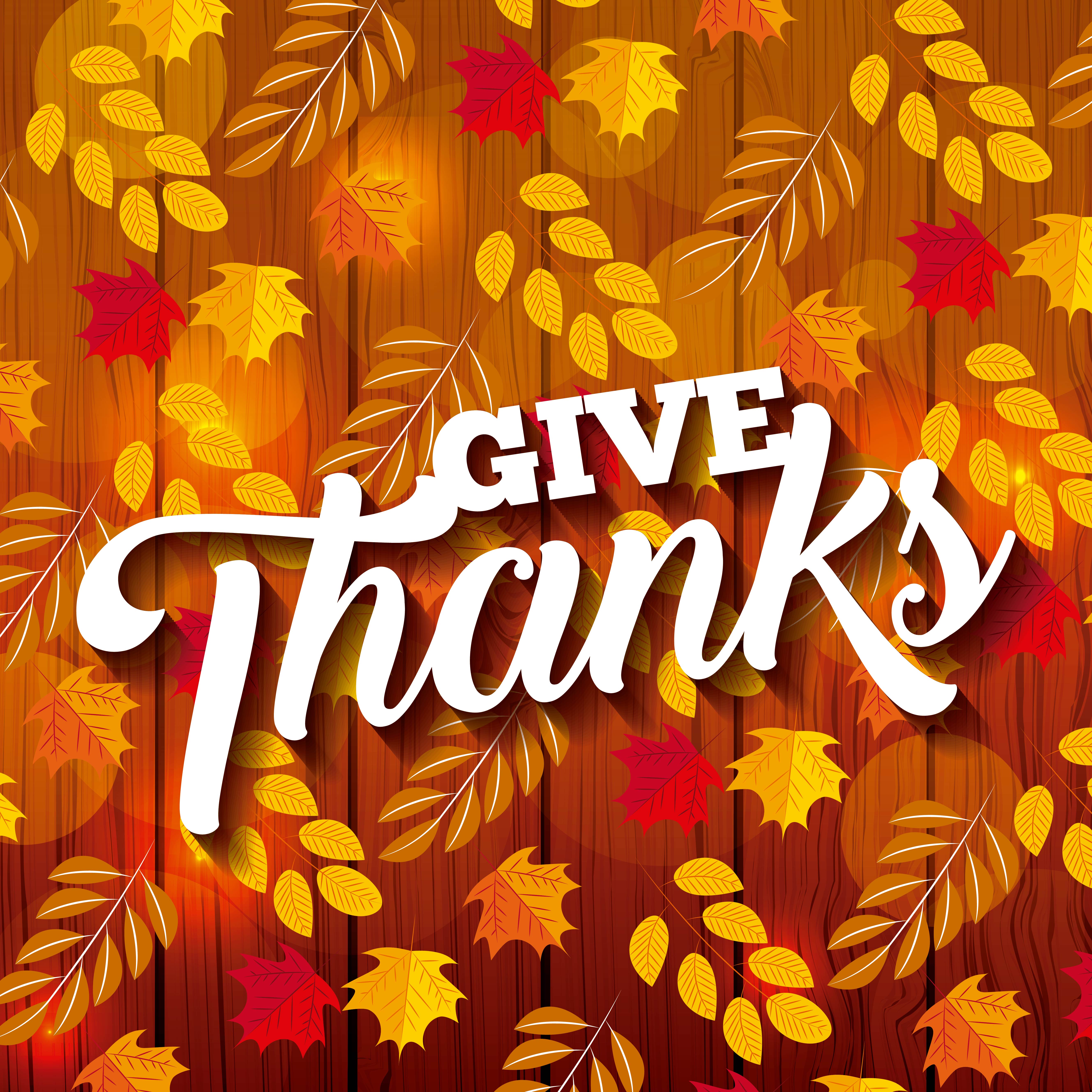 give-thanks-leafs-on-wood-687515-vector-art-at-vecteezy