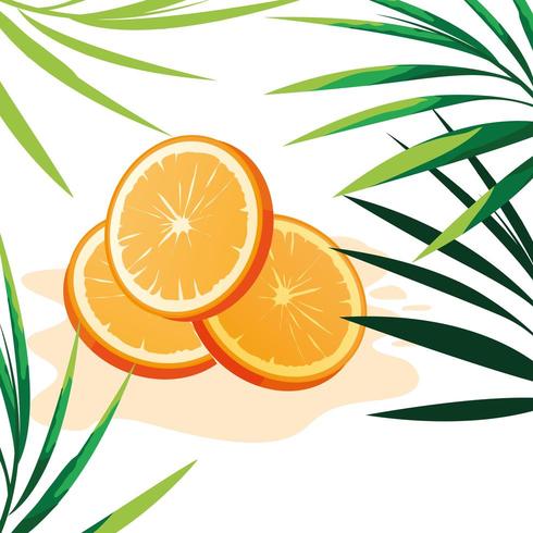 Slice of orange design vector illustratio