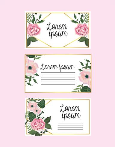 establecer tarjetas con flores y rosas con hojas de ramas vector