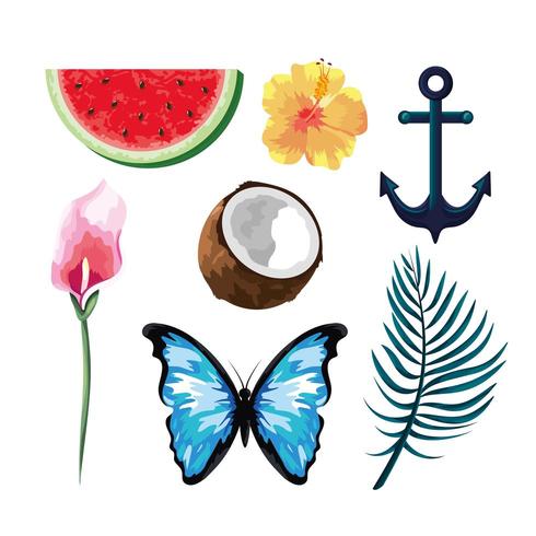 set tropical fruits with flowers and butterfly with anchor vector