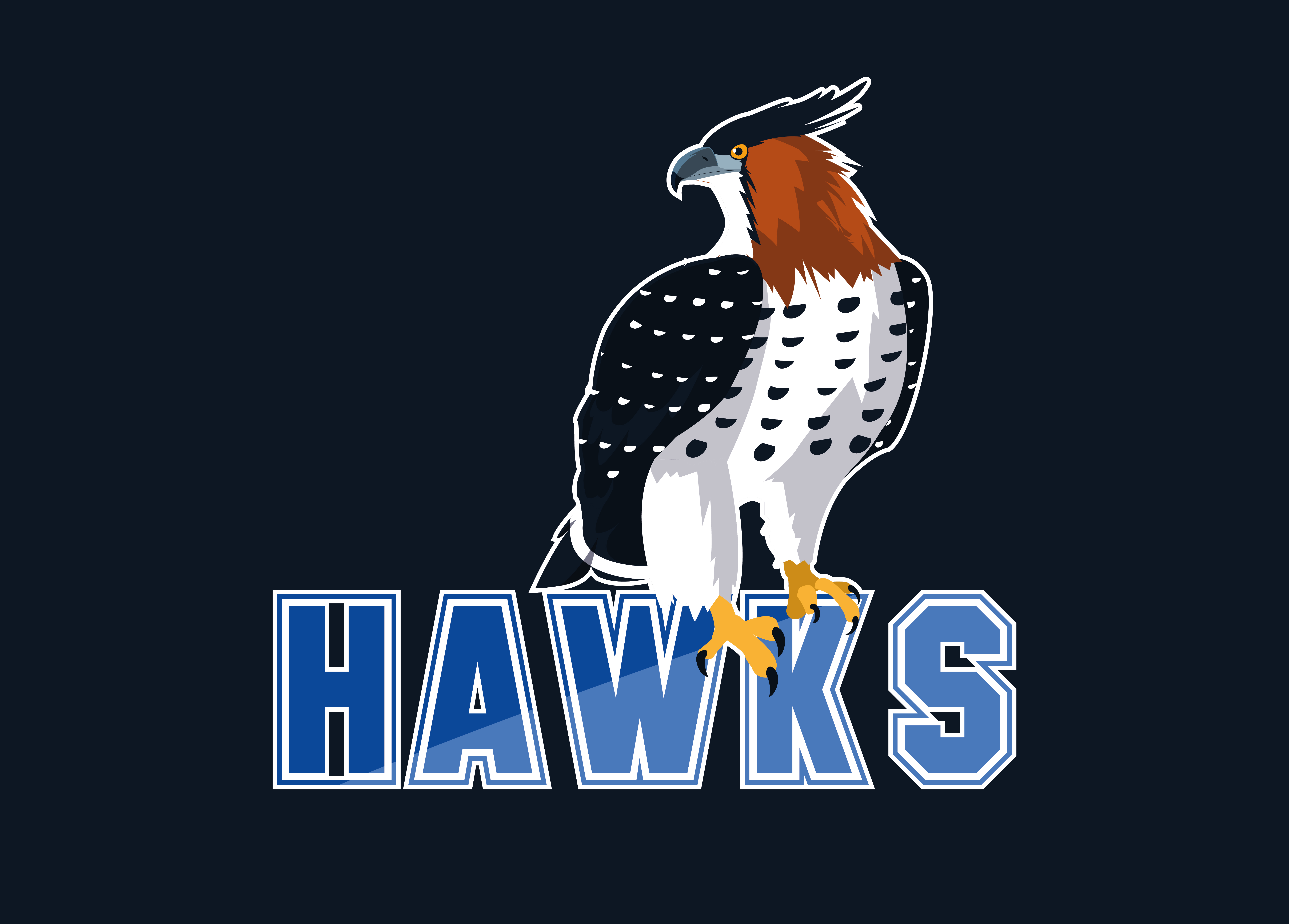 imposing hawks bird with word 687909 Vector Art at Vecteezy