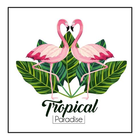 Pareja de flamencos tropicales con plantas de hojas vector