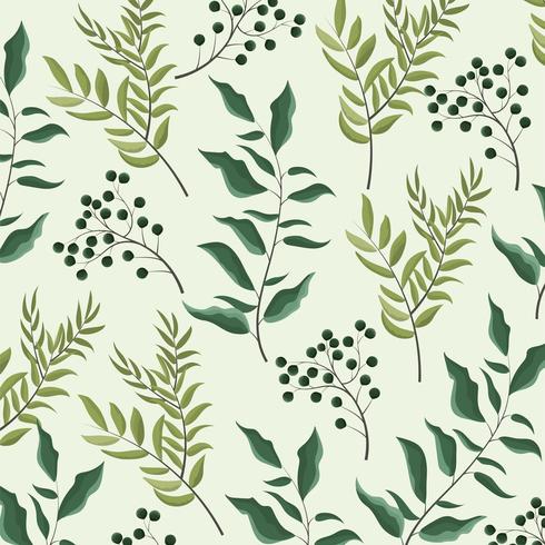 exotic plants and branches leaves background vector