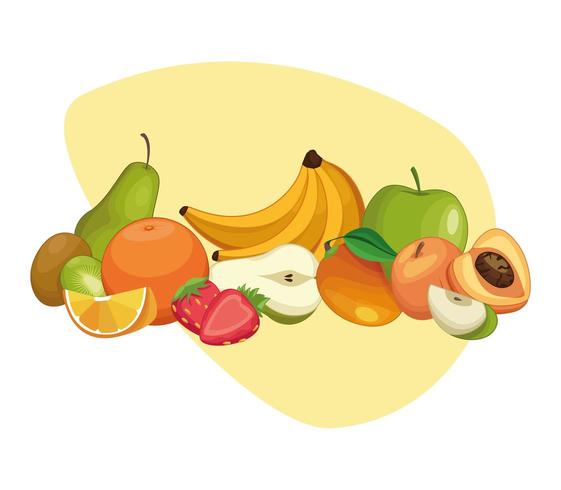 Delicious fruits cartoons vector