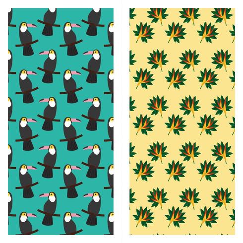 tropical exotic toucan bird of paradise flower pattern design vector