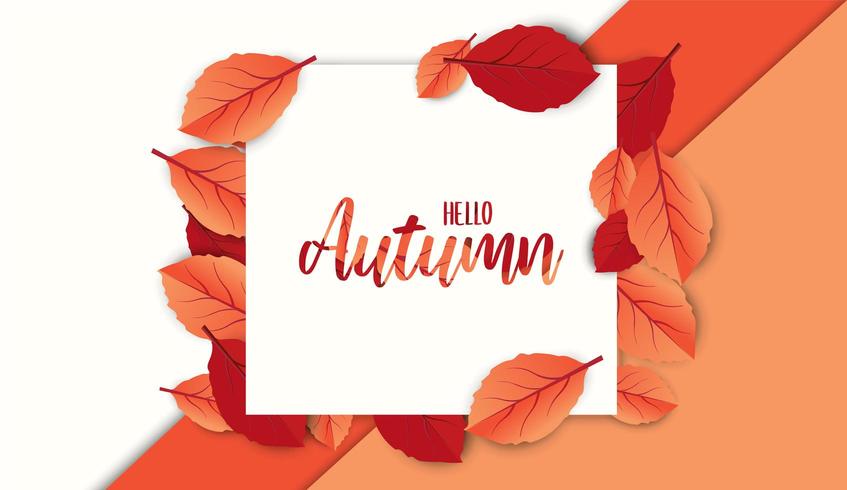 Abstract colorful leaves decorated background for  vector