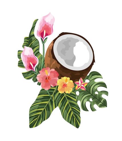 tropical flowers with exotic coconut and leaves vector