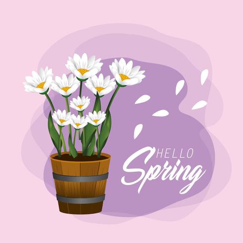 spring flowers plants with exotic petals vector