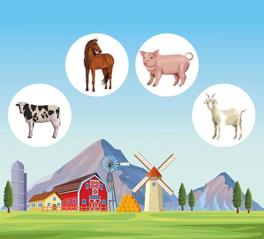 farm animals cartoons vector