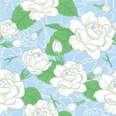 Pattern of jasmine flower on blue background vector