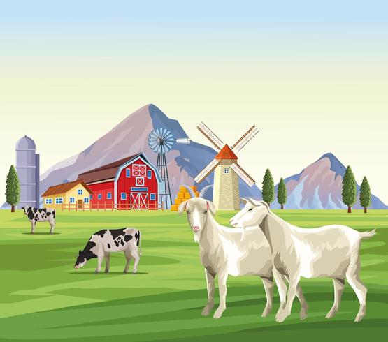 farm animals cartoons vector