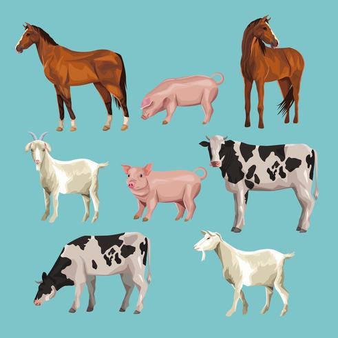 farm animals cartoons vector