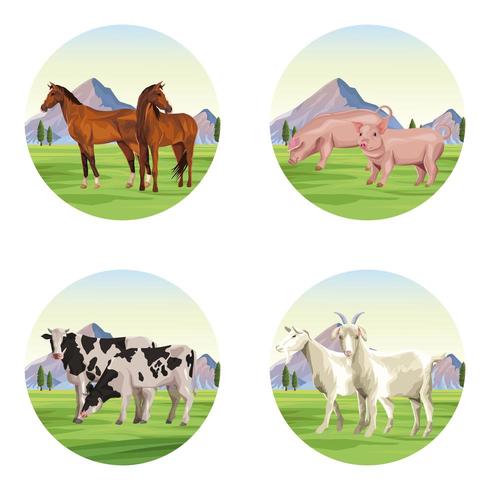 farm animals cartoons vector