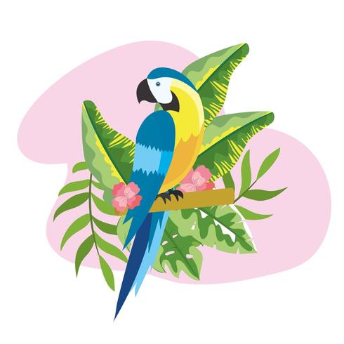 parrot with tropical plants leaves in the summer vector