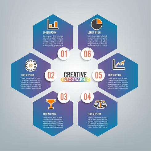 infographics 6 options vector