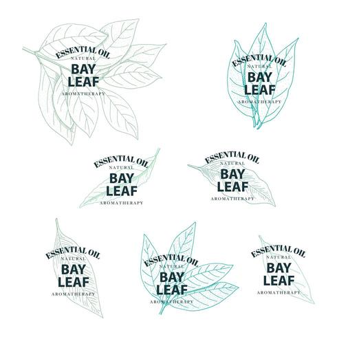 Set of hand drawn vintage labels  vector
