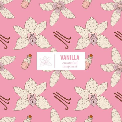 Vanilla Hand drawn vintage seamless pattern vector