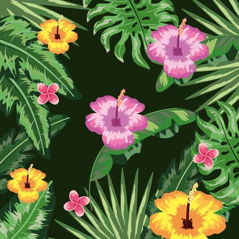 tropical flowers and leaves plants background vector