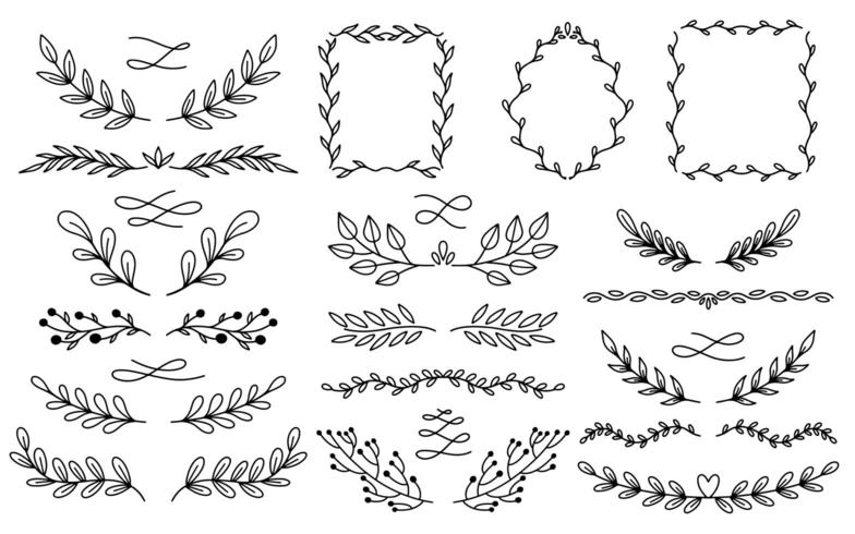 Plant nature dividers hand drawn set. Collection botanical element.Elegante vintage style. vector