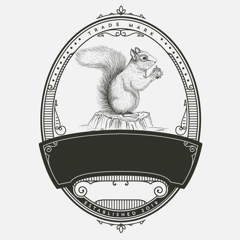 Vintage Squirrel Badge Design vector